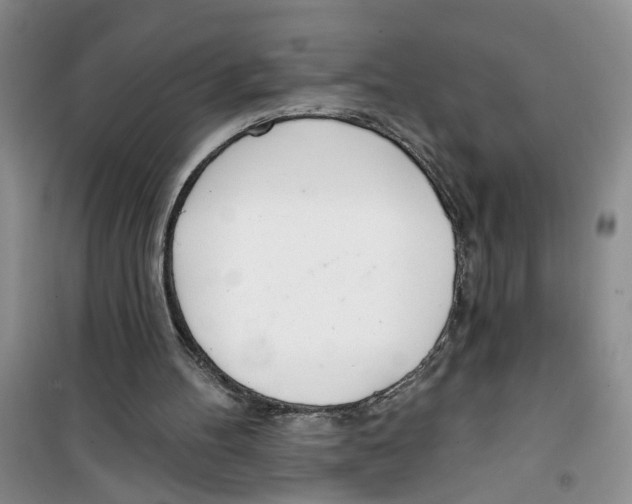 X0000100960100200807221155