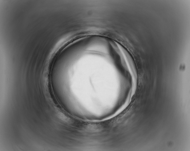 X0000100960101200807221155