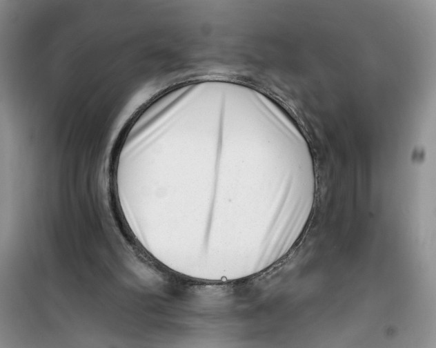 X0000100960102200807221155