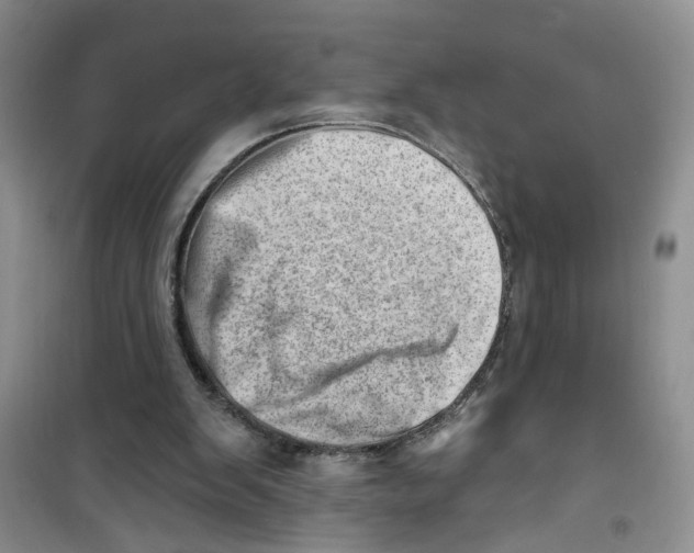 X0000100960103200807221155