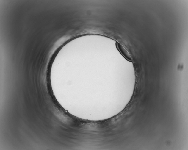 X0000100960104200807221155