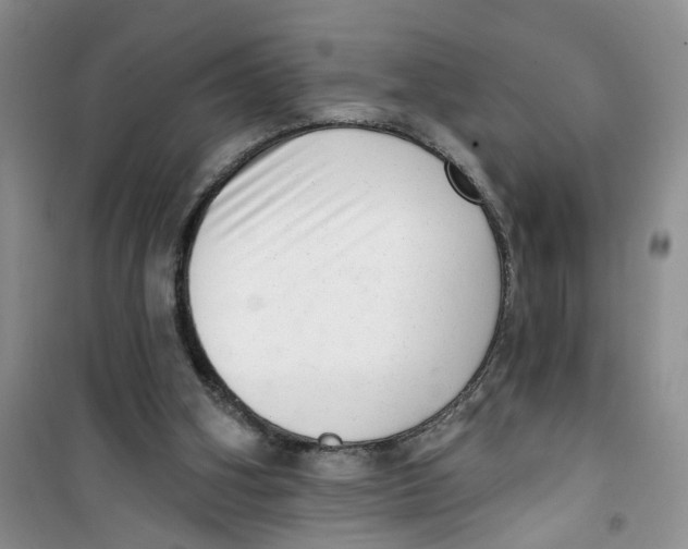 X0000100960106200807221155