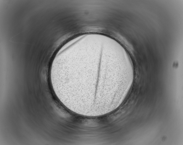 X0000100960107200807221155