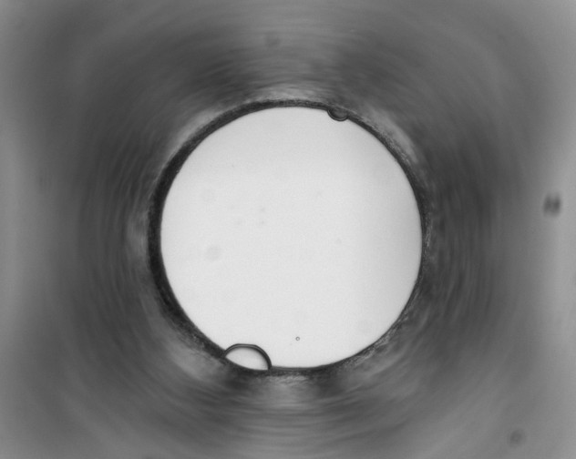 X0000100960108200807221155