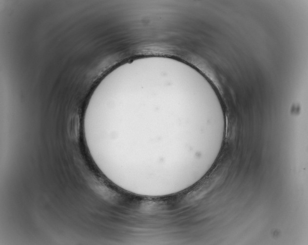 X0000100960109200807221154