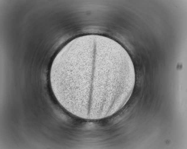 X0000100960111200807221154