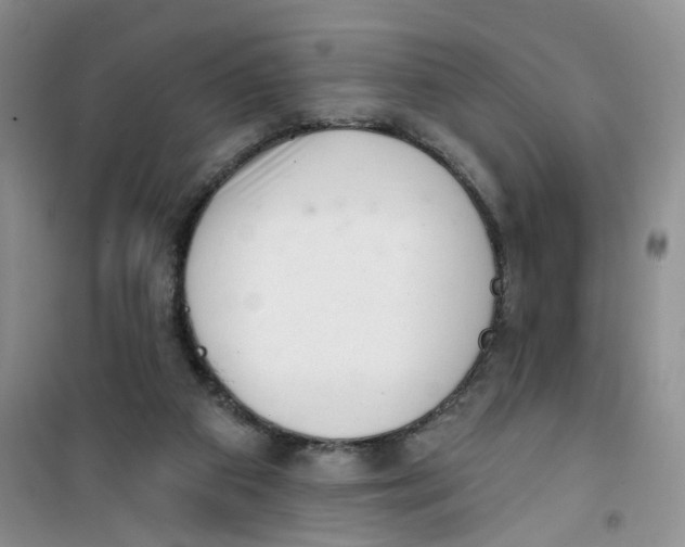 X0000100960113200807221154