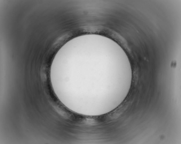 X0000100960114200807221154