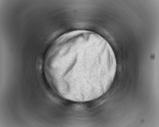 X0000100960115200807221154