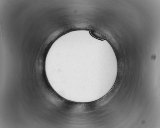 X0000100960116200807221154