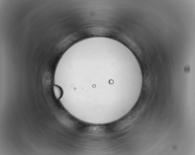 X0000100960117200807221154