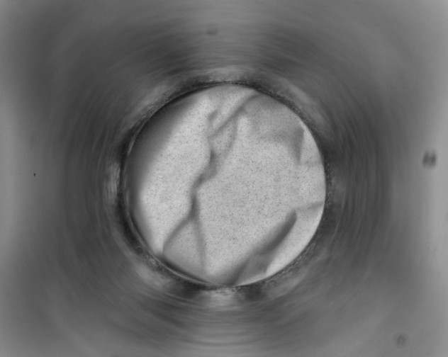 X0000100960118200807221154