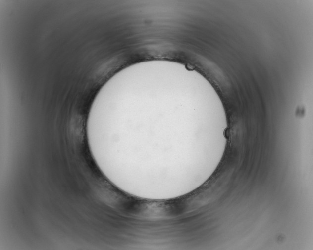 X0000100960121200807221154