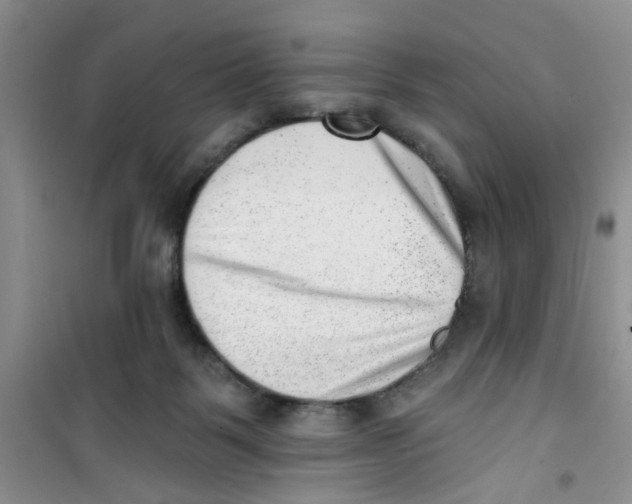 X0000100960123200807221154