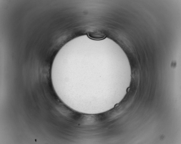 X0000100960127200807221154