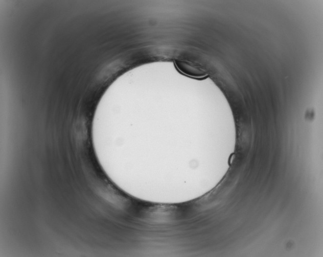 X0000100960128200807221154