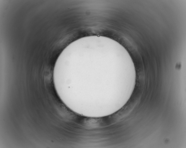 X0000100960129200807221154