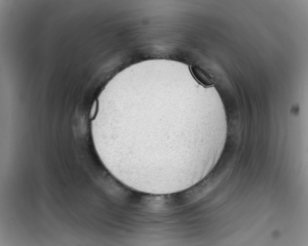 X0000100960131200807221154