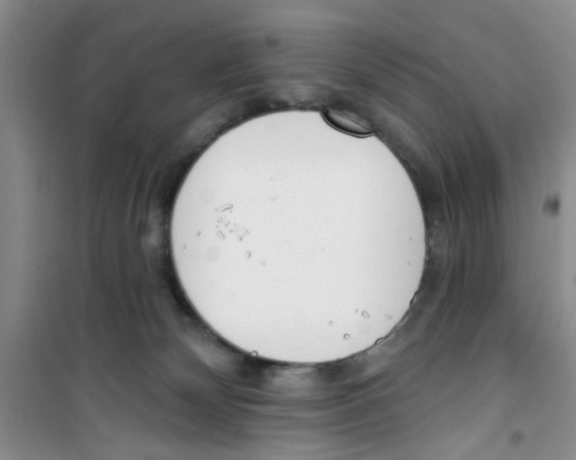 X0000100960132200807221154