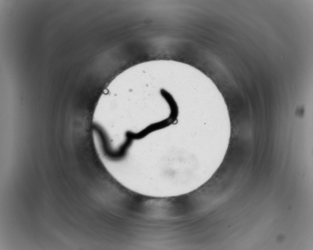 X0000100960133200807221154