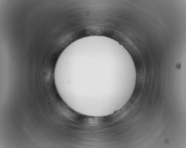 X0000100960134200807221154