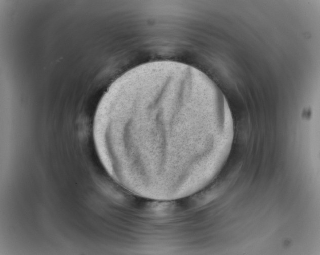 X0000100960135200807221154