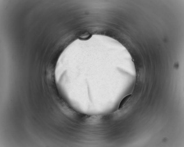 X0000100960138200807221154