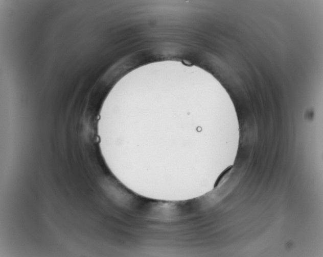 X0000100960140200807221154