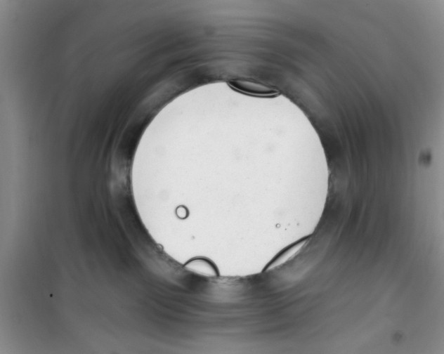 X0000100960141200807221154