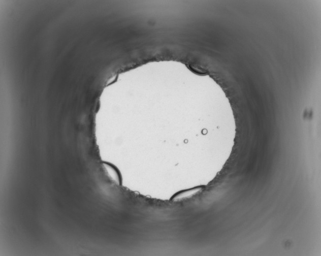 X0000100960144200807221154