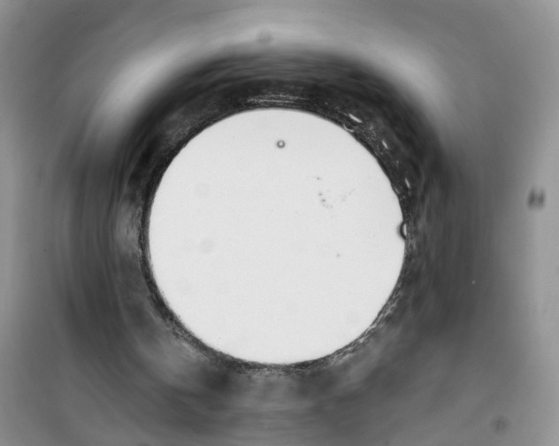 X0000100960146200807221153