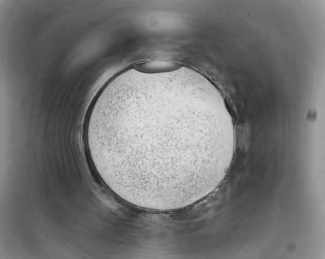 X0000100960147200807221153