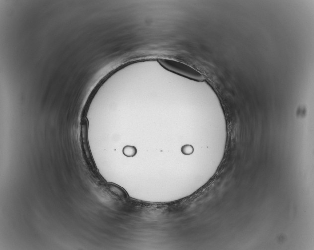 X0000100960148200807221153