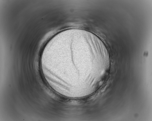 X0000100960149200807221153