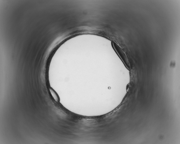 X0000100960150200807221153