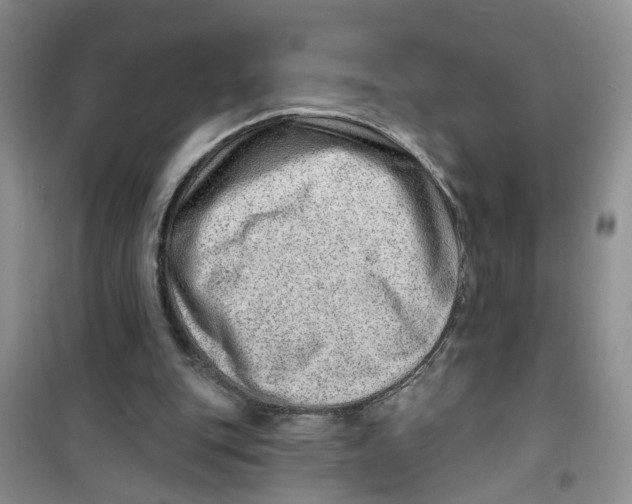 X0000100960151200807221153