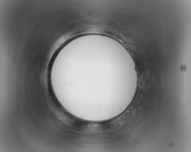 X0000100960152200807221153