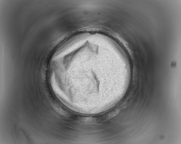 X0000100960153200807221153