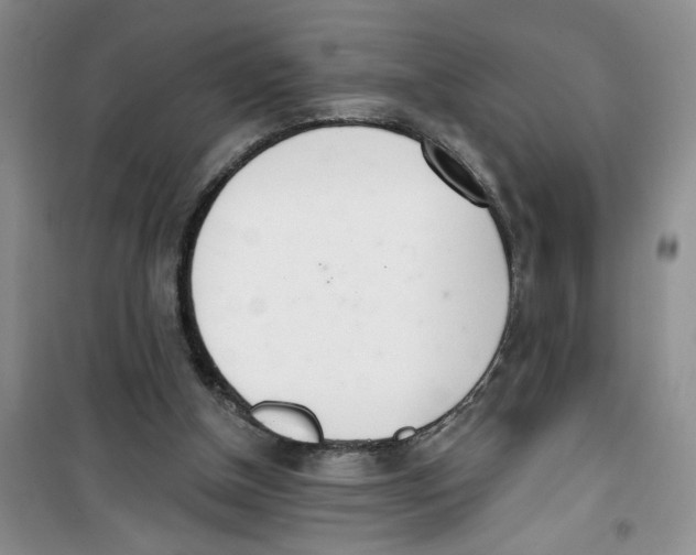 X0000100960154200807221153