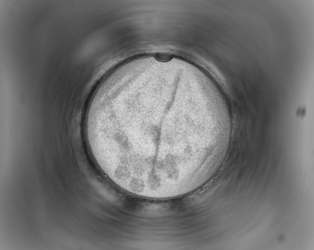 X0000100960155200807221153