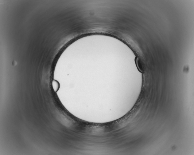 X0000100960156200807221153