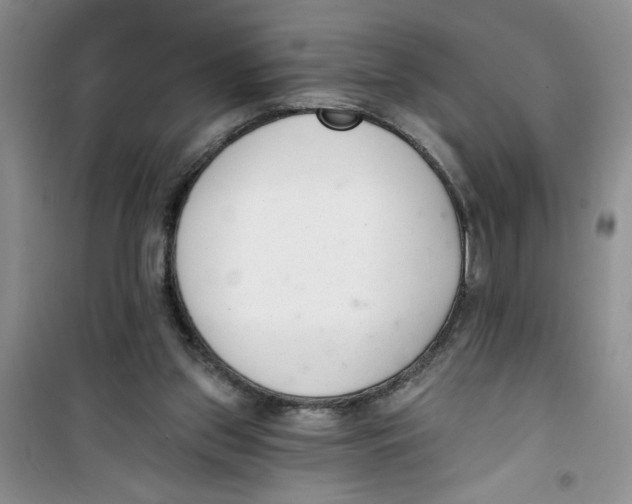 X0000100960157200807221153