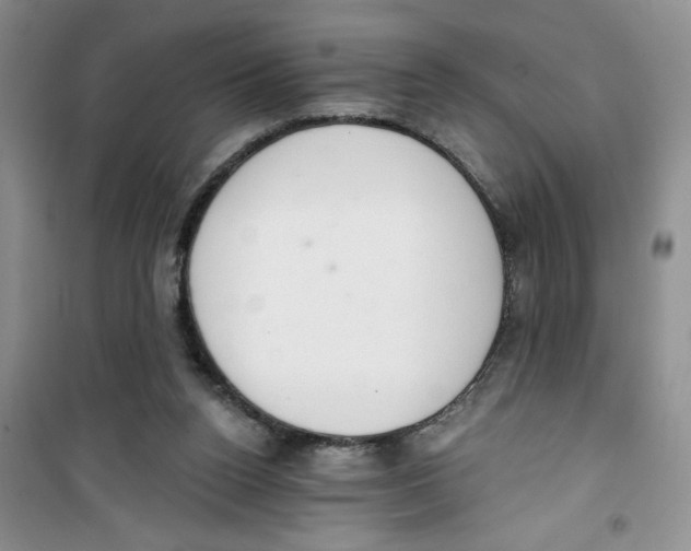 X0000100960160200807221153