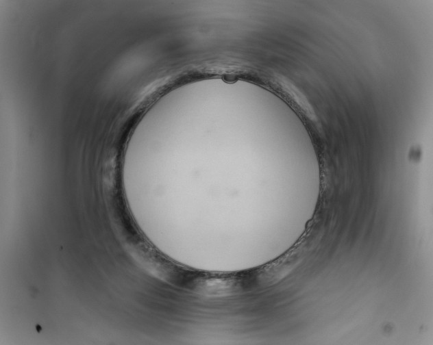 X0000100960163200807221154