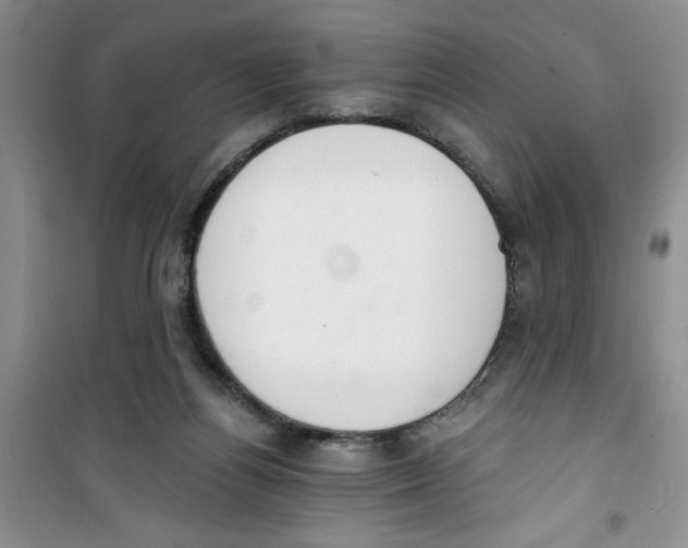 X0000100960164200807221154