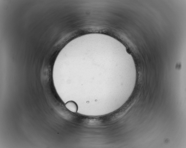 X0000100960165200807221154