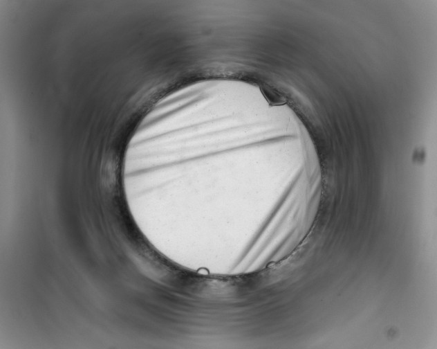 X0000100960166200807221154