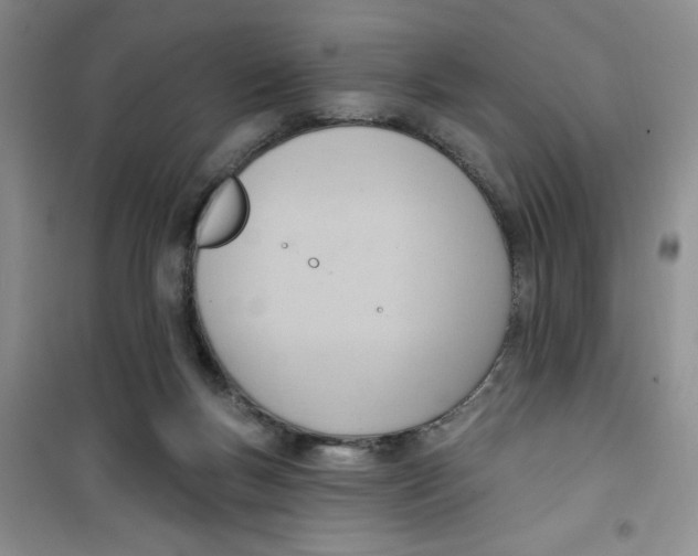 X0000100960167200807221154