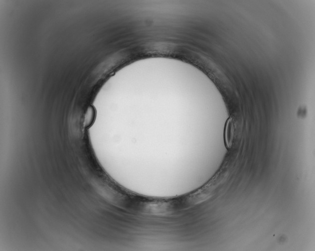 X0000100960168200807221154