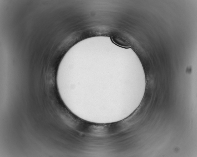 X0000100960170200807221154